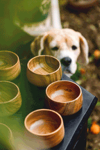 Gumbad - Small wooden dip bowls (set of 2)
