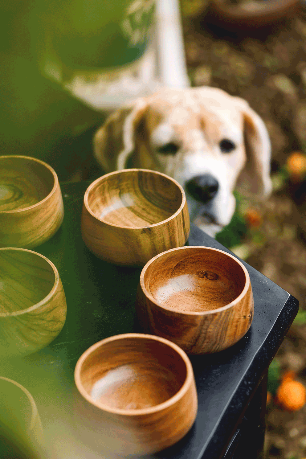 Gumbad - Small wooden dip bowls (set of 2)